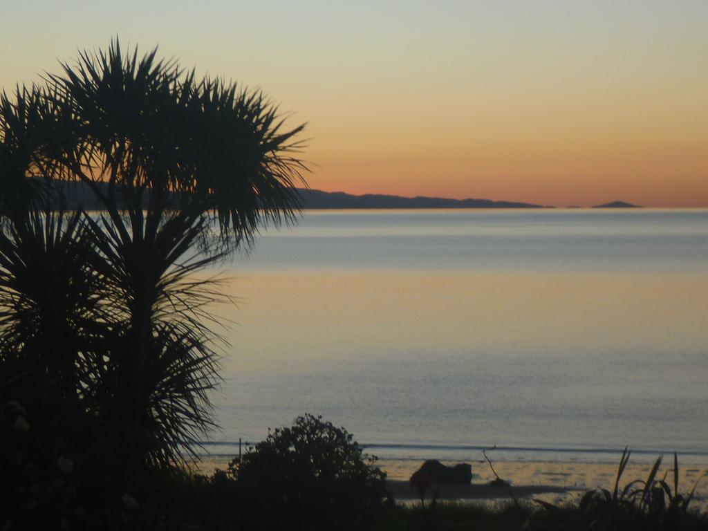 Pohutukawa Coast Bnb Te Puru Екстериор снимка