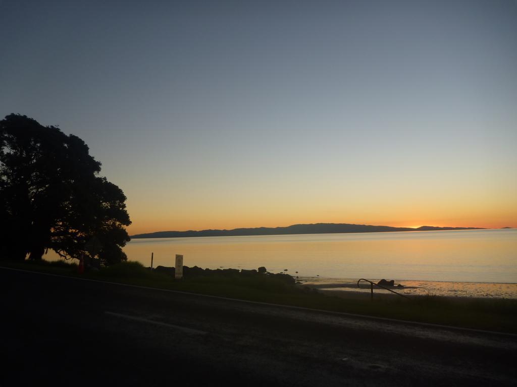 Pohutukawa Coast Bnb Te Puru Екстериор снимка