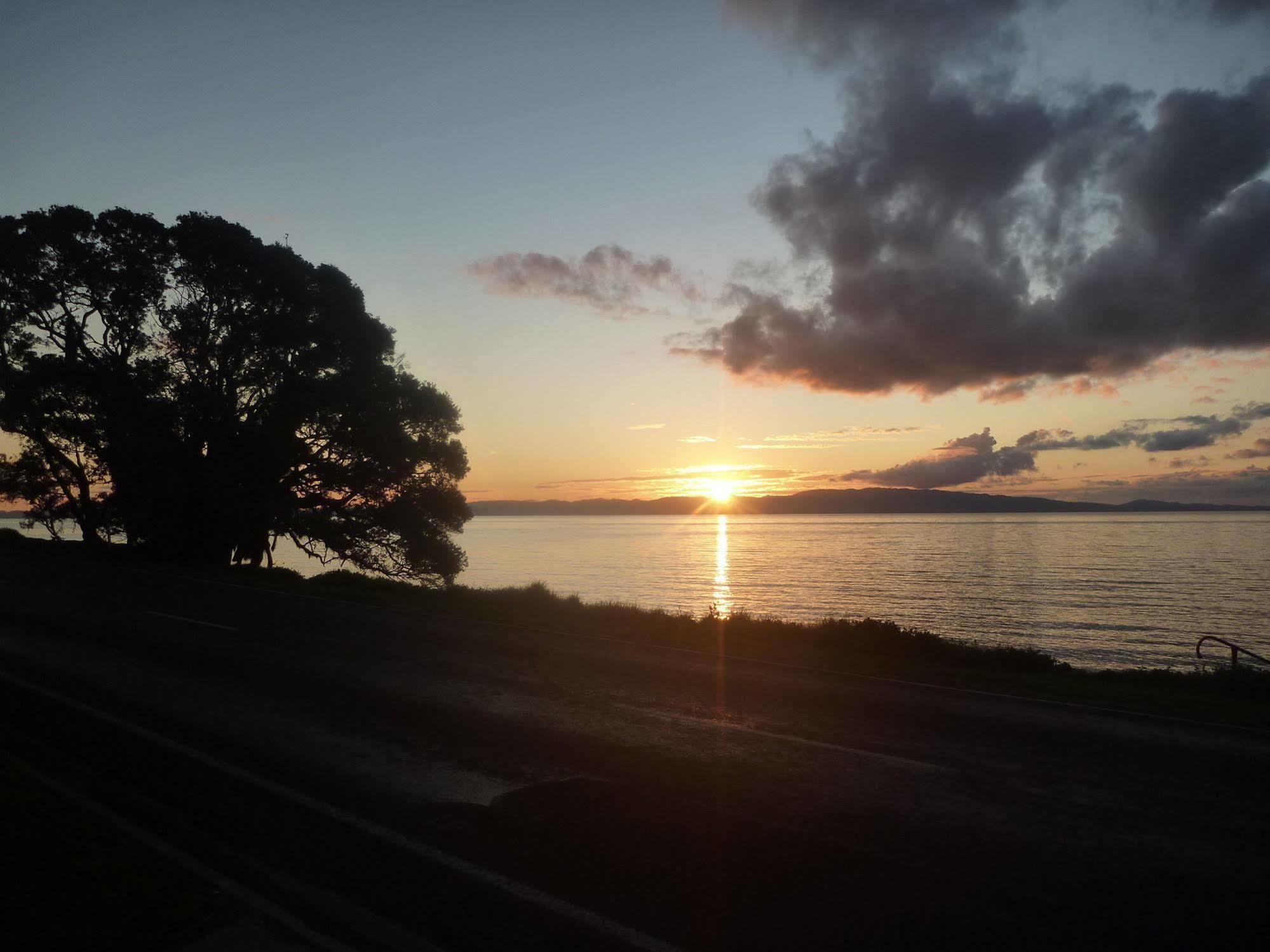 Pohutukawa Coast Bnb Te Puru Екстериор снимка