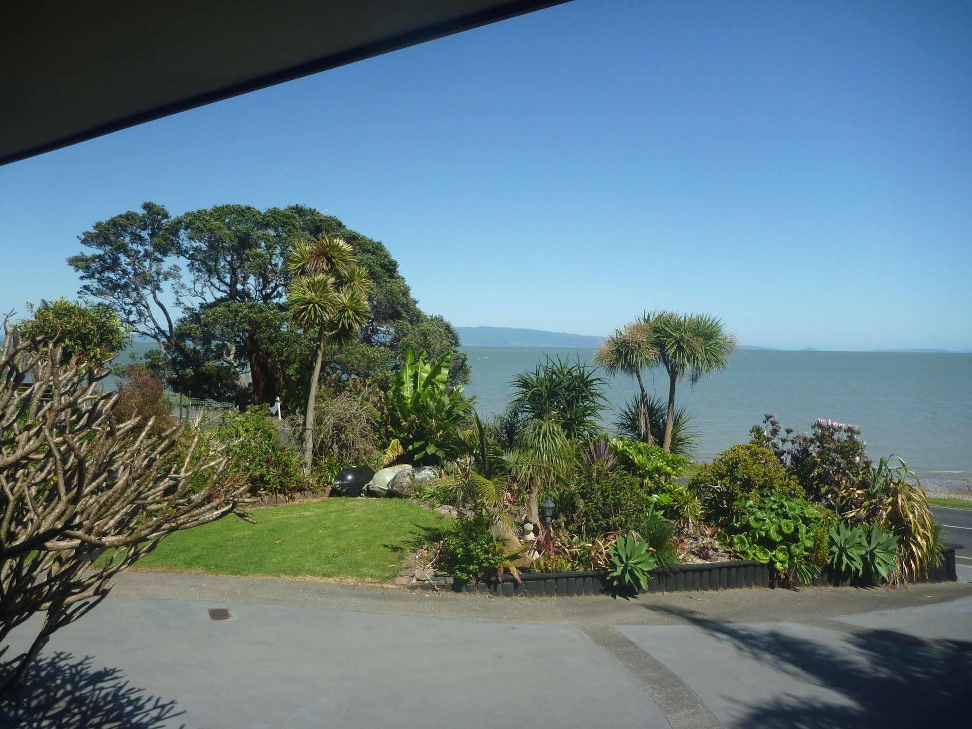 Pohutukawa Coast Bnb Te Puru Екстериор снимка