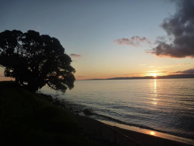 Pohutukawa Coast Bnb Te Puru Екстериор снимка